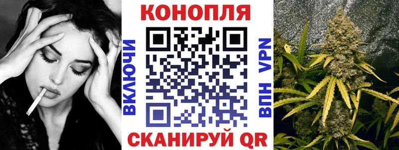 Где купить Дятьково A-PVP  АМФЕТАМИН  ГАШИШ  Бошки Шишки  Кокаин  МЕФ 