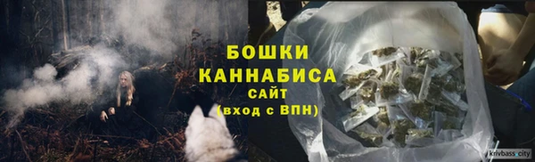 a pvp Белокуриха