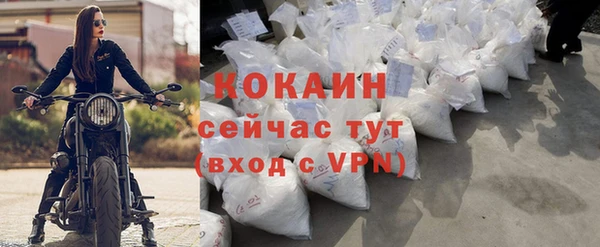 спиды Богданович