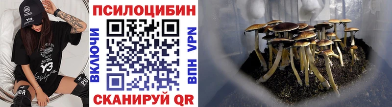 купить   Дятьково  Галлюциногенные грибы Magic Shrooms 